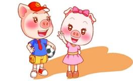 1995年属猪男人一生婚姻运势