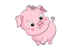 属猪的文昌方位，提高学业运势的方法