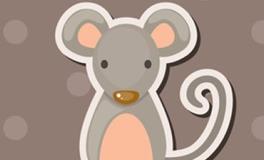 属鼠的运气最好的月份是几月