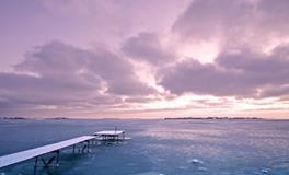 属鼠的和什么属相合财