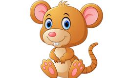 属鼠人最凶的年份