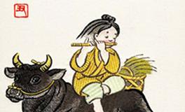 属牛男人的婚姻和命运