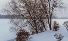 数九寒天，冷在三九，扶阳气补身体是关键