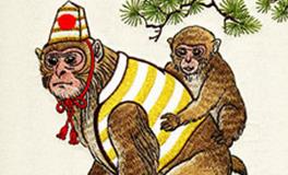 属猴人的爱情观