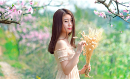 2024年十二生肖事业运如何破局