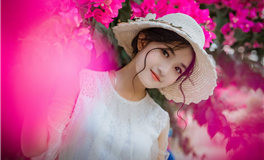 生肖鸡2024甲辰年运势