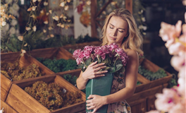 董易姗2024年十二生肖运势简析