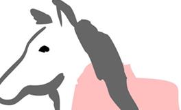 属马男人命好不好