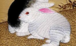 属兔的性格与终身运程