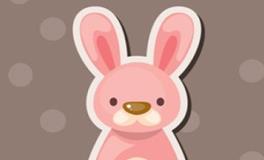 属兔的女人命运和婚姻怎样