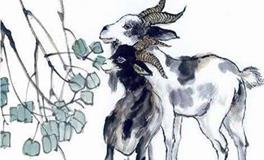 属羊女的性格和脾气