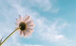 这个血型的人爱抬杠！