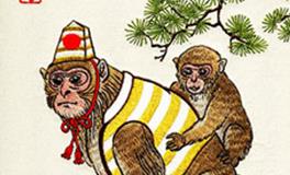 属猴的最佳合作伙伴