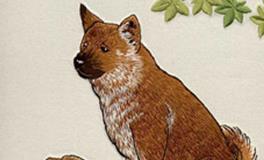 属狗的男人容易出轨吗