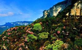 属狗人的本命佛是什么