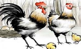 属鸡的贵人是什么生肖