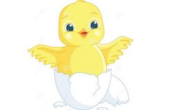 属鸡女和什么生肖最配