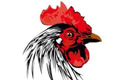 1945年属鸡的是什么命，1945年出生的鸡五行属什么