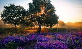 属猴男人恨你的表现