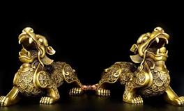 貔貅和属龙的犯冲吗，佩戴貔貅需要注意什么