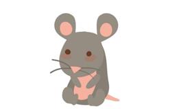 属鼠人的灾难年龄是几岁