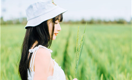 柒爸处女座2024年2月运势