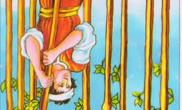 塔罗牌权杖九逆位代表什么意思？