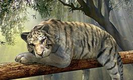 1998年属虎结婚26岁好还是27岁好，1998属虎人最近婚姻运势如何