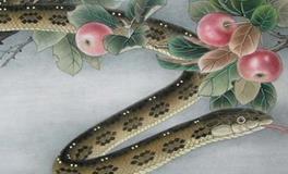 属蛇的年份有哪些