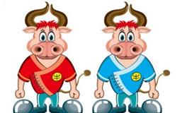 属牛人爱你的表现