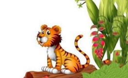 属虎人爱你的表现