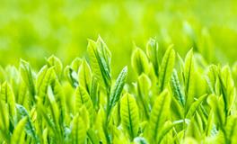 属虎人和哪些人在一起合作能发财