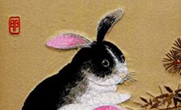 属兔的人运气最好的月份是几月