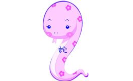 1989年属什么生肖