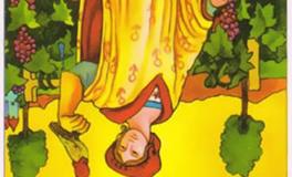 塔罗牌星币九逆位代表什么意思？