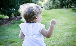 2024年木龙五行缺什么，2024年几月生的龙宝宝最好