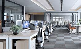 2024年办公室如何摆设，能上风上水