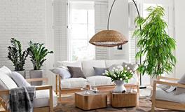 2024年，对文化工作者有利的家居布置