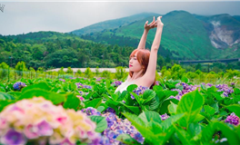 双鱼月开启，十二星座转运指南