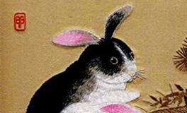 属兔的遭遇共享单车上私锁会如何处理