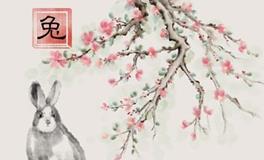 腊月出生的男兔宝宝好吗