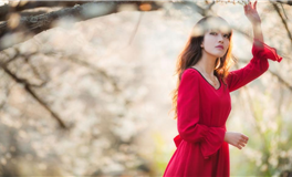 狮子座心中的最美画面是什么样的