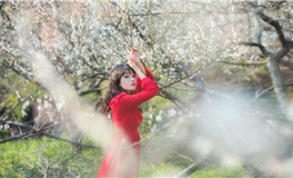 双子座把你当朋友还是炮友，白羊座有纯友谊吗？