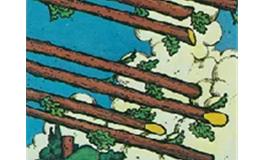 爱莎公主天秤座一周塔罗运势(3.4-3.10）