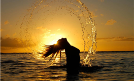 2024年属猪的人事业运怎么样