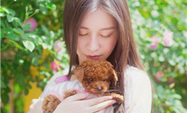 属虎的人空闲的时候都做些什么事情？