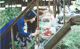 Alex大叔处女座本周运势（3.11-3.17）