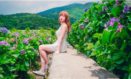 属狗人应对父母逼婚的绝招