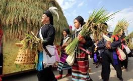 哈尼族的风俗有哪些的风俗有哪些