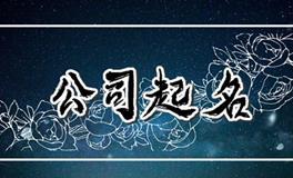 公司取名的方法和依据